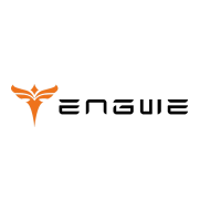 Engwe