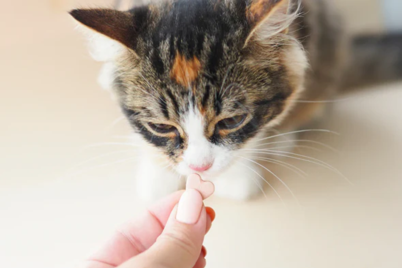 animal-biome-supplements 