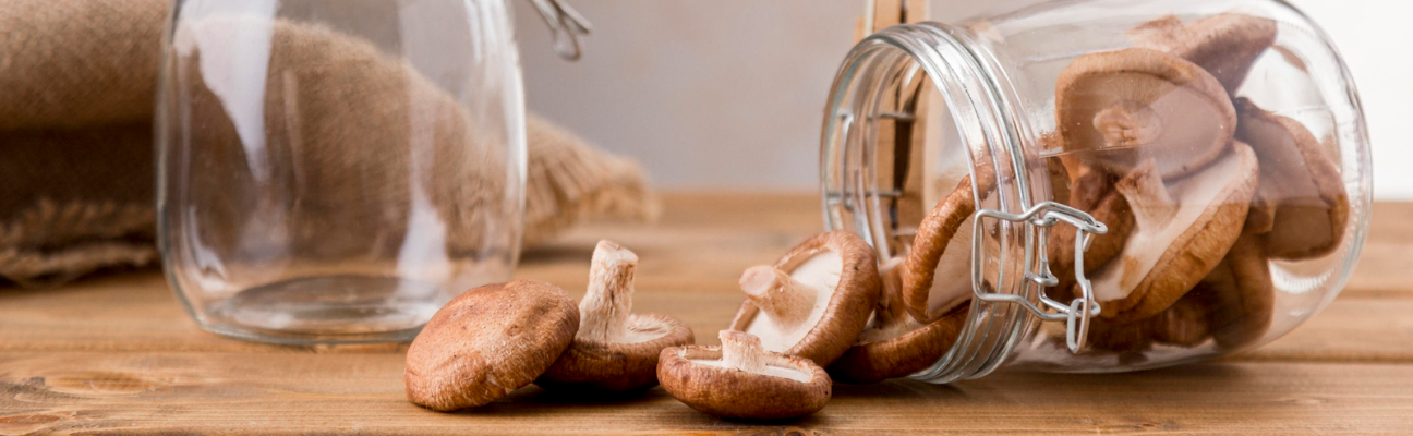 Lignosus Review: Premium Mushroom Wellness Supplements